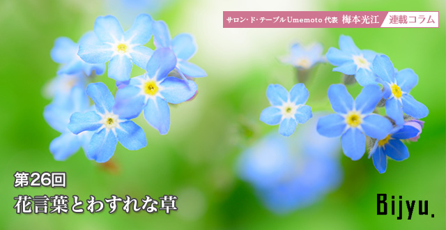 サロン・ド・テーブルUmemoto　代表 梅本 光江 連載コラム　暮らしを彩るWatashiiro 第26回  花言葉とわすれな草