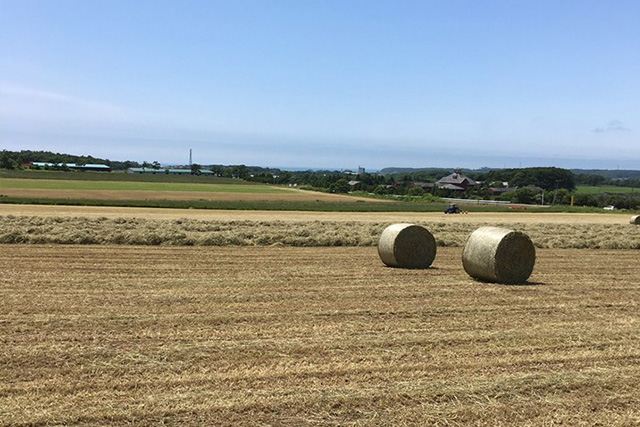日高町婚活バスツアー